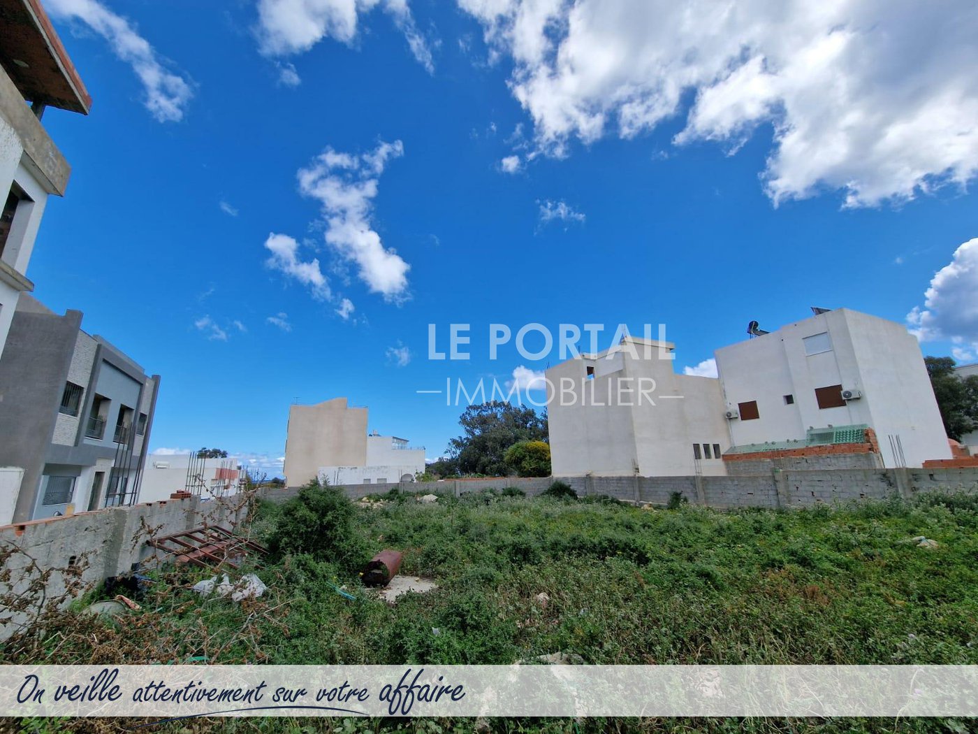 blog
